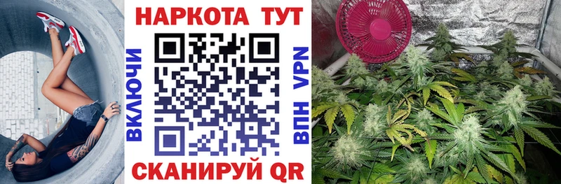 Хочу наркоту Тосно MDMA Мефедрон Бошки Шишки Галлюциногенные грибы