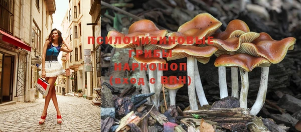 mdpv Нея