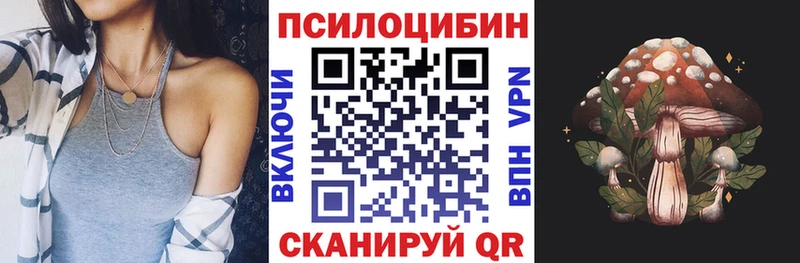 Галлюциногенные грибы Cubensis  блэк спрут как зайти  Тосно  дарнет шоп 